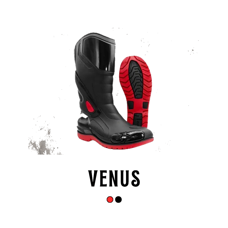 Botas Venus Dama