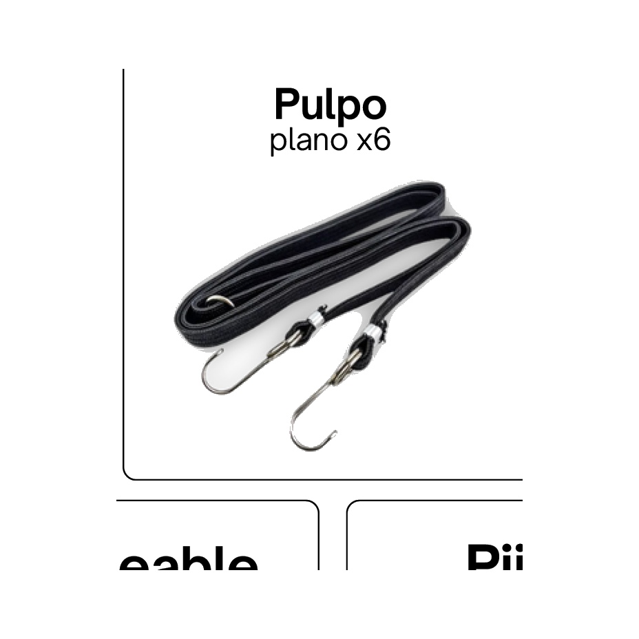 Pulpo Plano X6